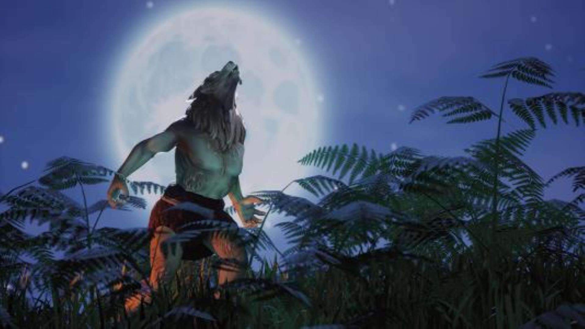 《开拓者》The Waylanders 《开拓者》The Waylanders